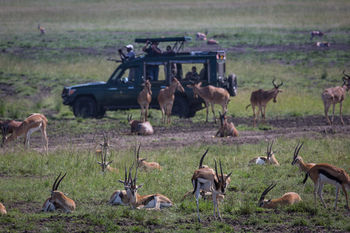 Elewana Sand River Masai Mara Hotel Maasai Mara Ngoại thất bức ảnh